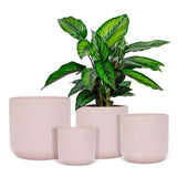 Classic Planter Pink Medium Moyen Cache-pot Rose Classique XL Divers 2
