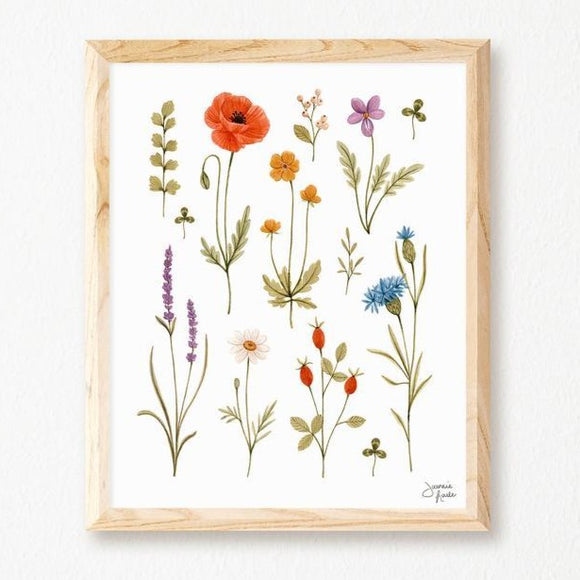 Joannie Houle - Affiche 8x10 Herbier Fleurs Sauvages
