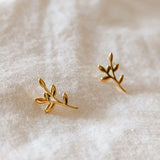 MIMI & AUGUST Boucles Oreilles Branches Olivier Olive Branch Gold Plated Earrings
