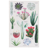 Now Designs - Linge À Vaisselle Cactus Botaniques Botanical Cacti Tea Towel